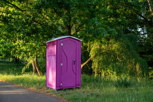 Portable Toilet Options We Offer in Valley Park, MO